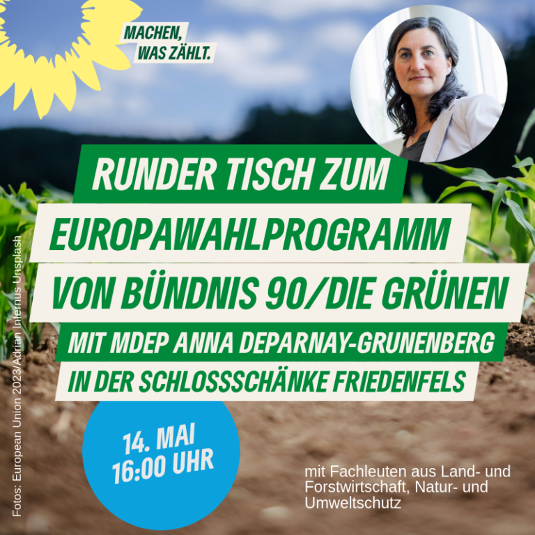 Runder Tisch zum Wahlprogramm